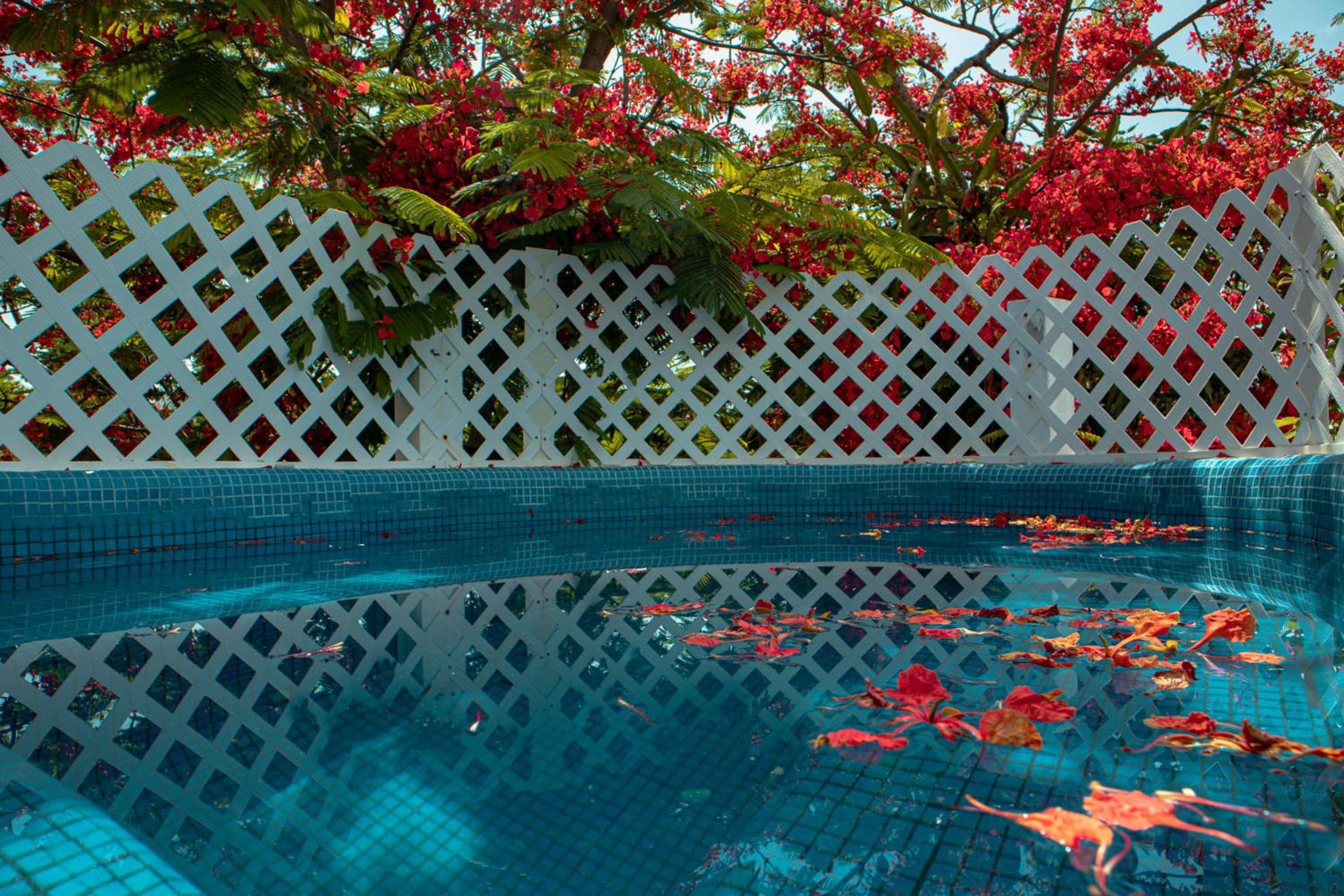 Casa Wayak Hotel Cancun Luaran gambar